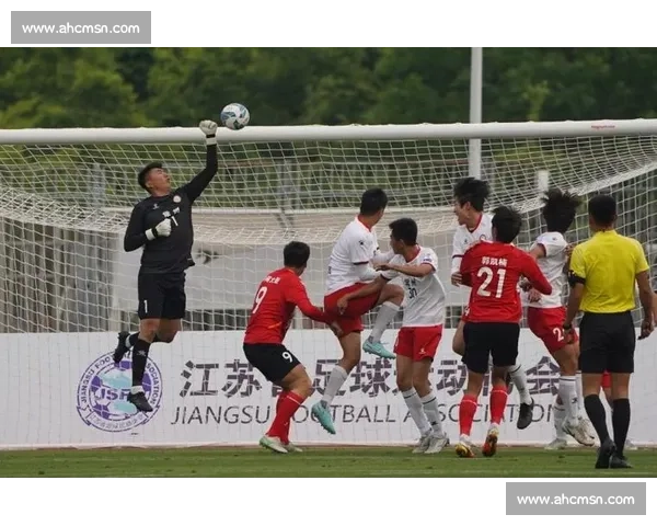 苏超南北明星赛：该提上日程了！