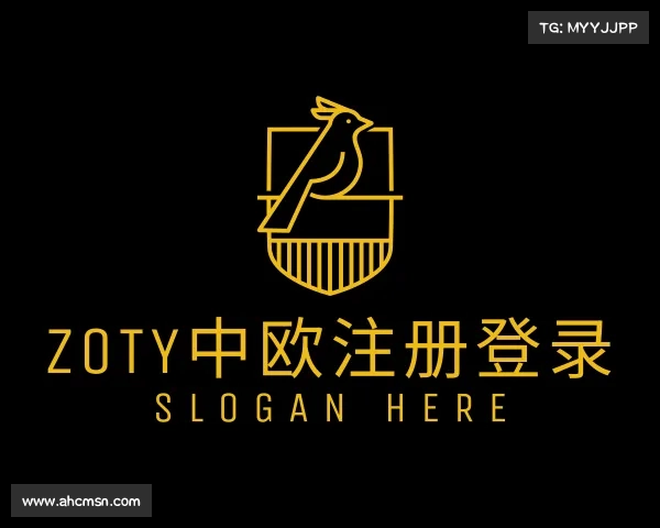 介绍zoty中欧注册登录